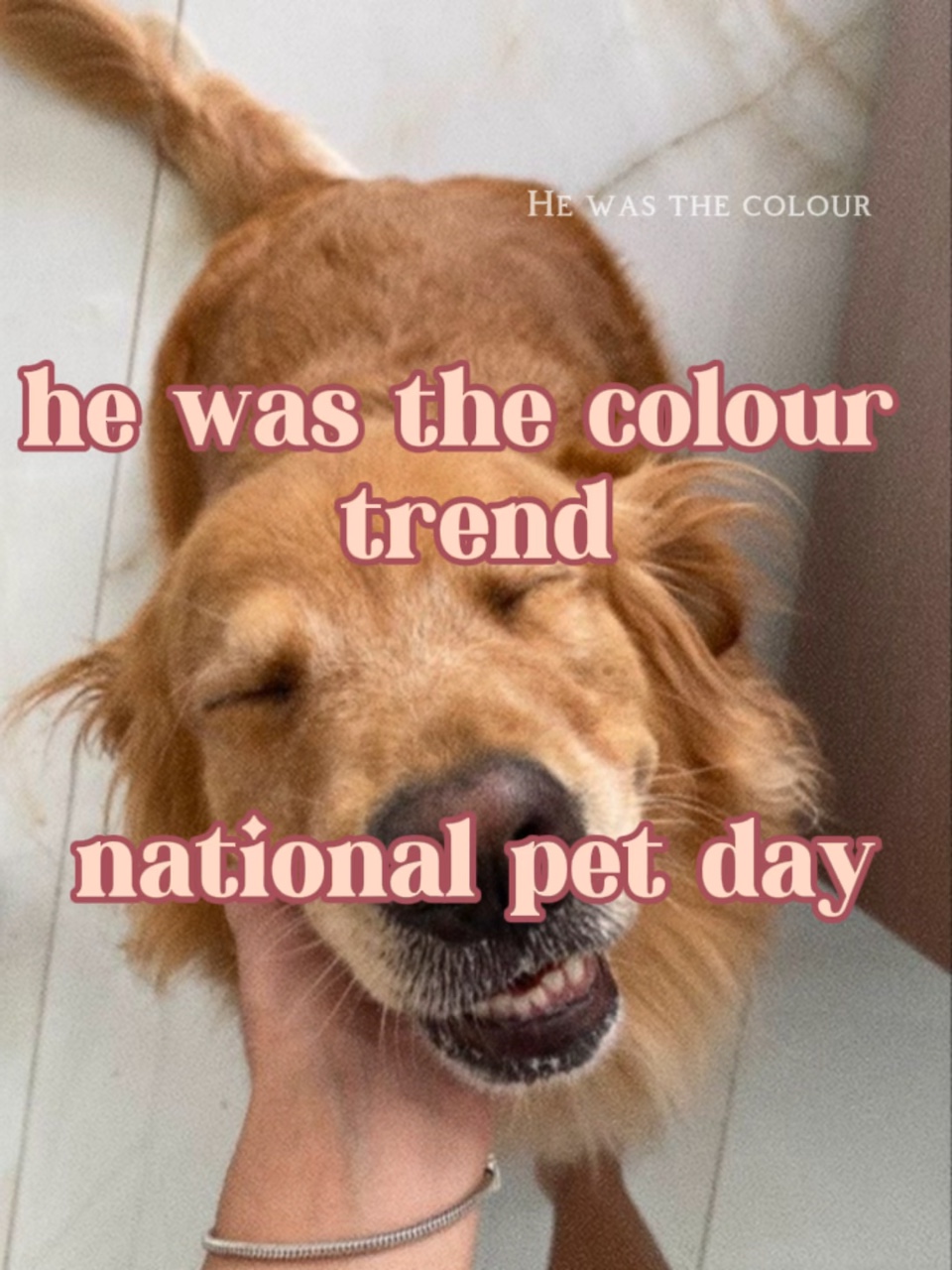 national pet da