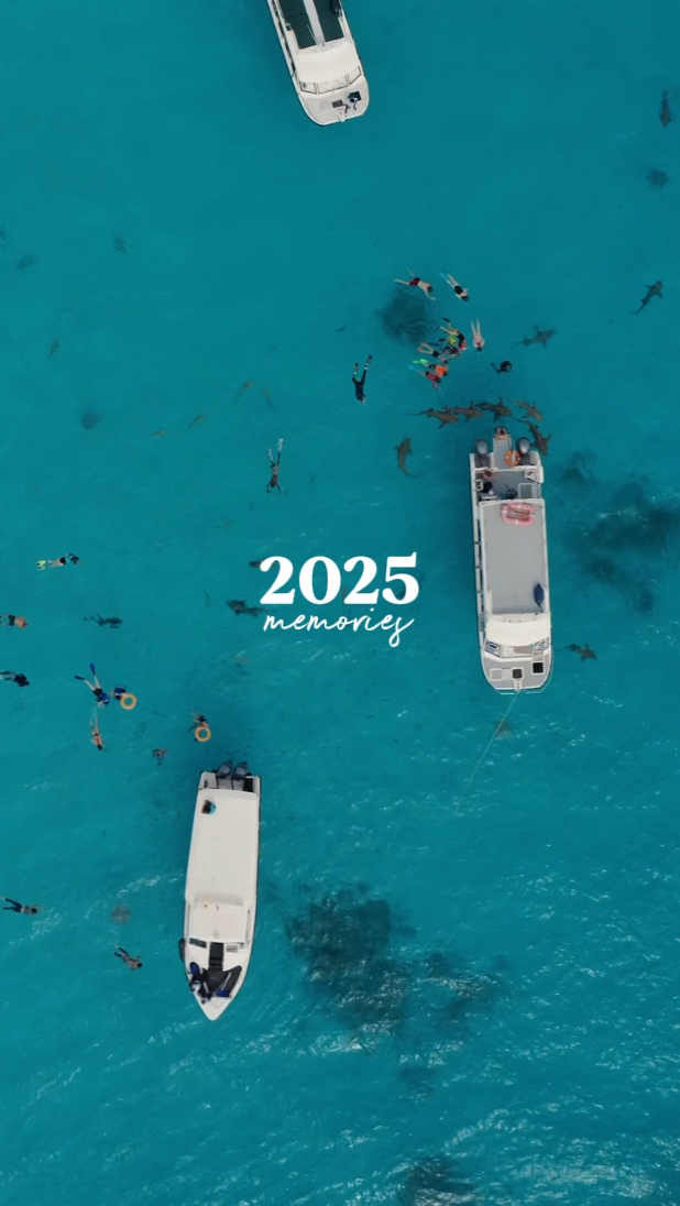 2025 memórias