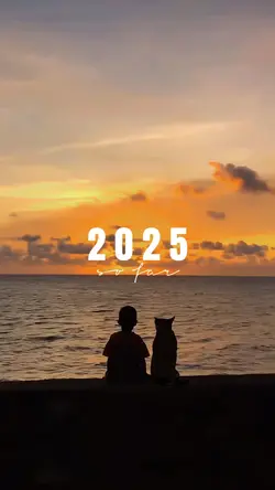 2025 so far