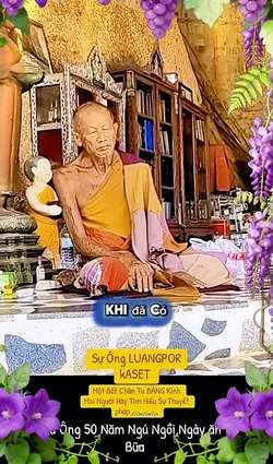 Xin Thường Niệm