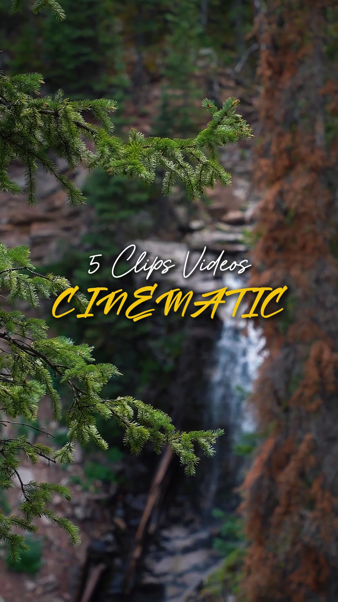 Cinematic 5 Videos