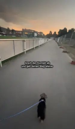 Weg ALLEINE gehen