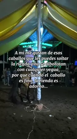 Ustedes que opinan??