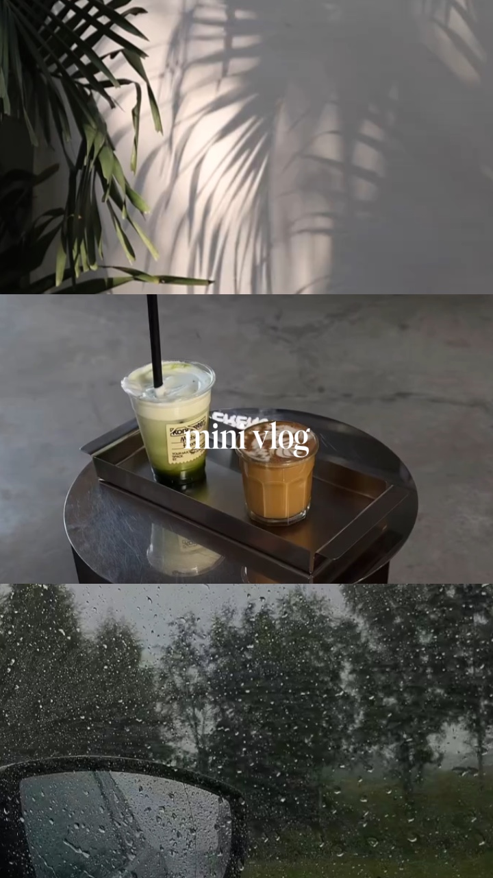 minivlog 