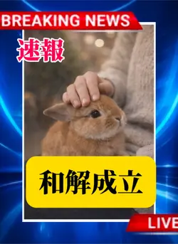速報　和解成立