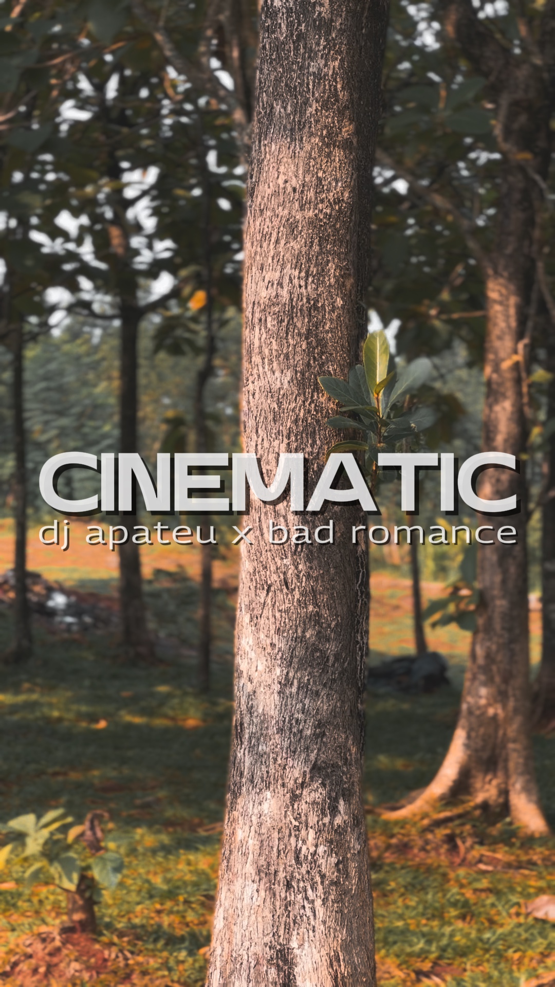 Hd jernih cinematográfico