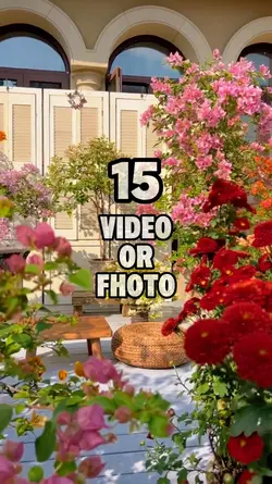 Flower in the garden