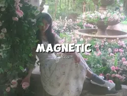 MAGNETIC