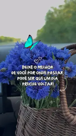 Bom dia terça-feira 