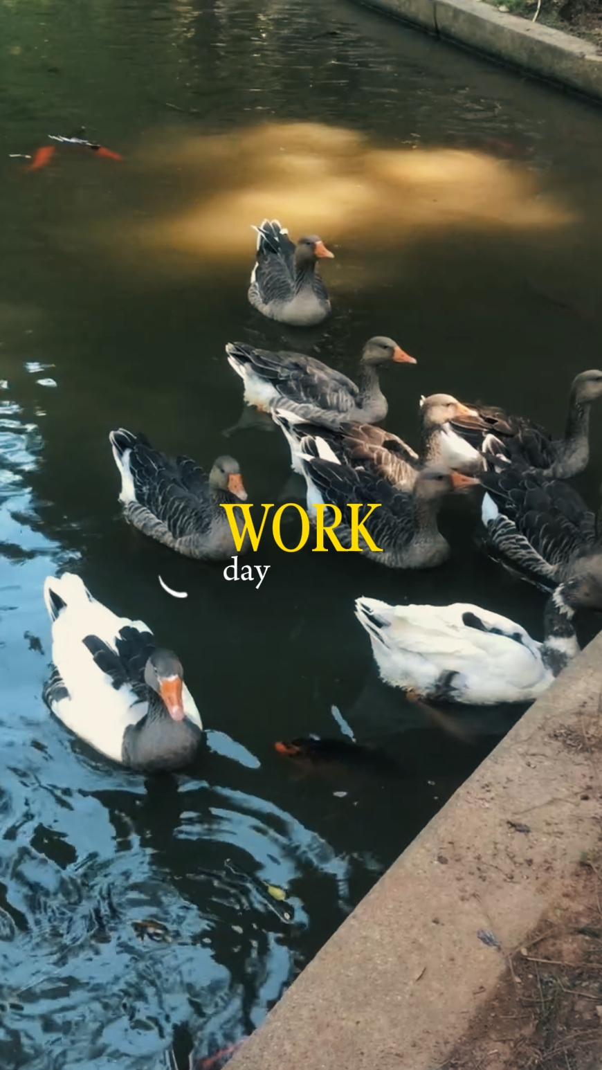 Día de trabajo