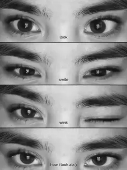 EYE TREND