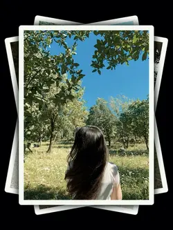 8Pic Aesthetic Trend