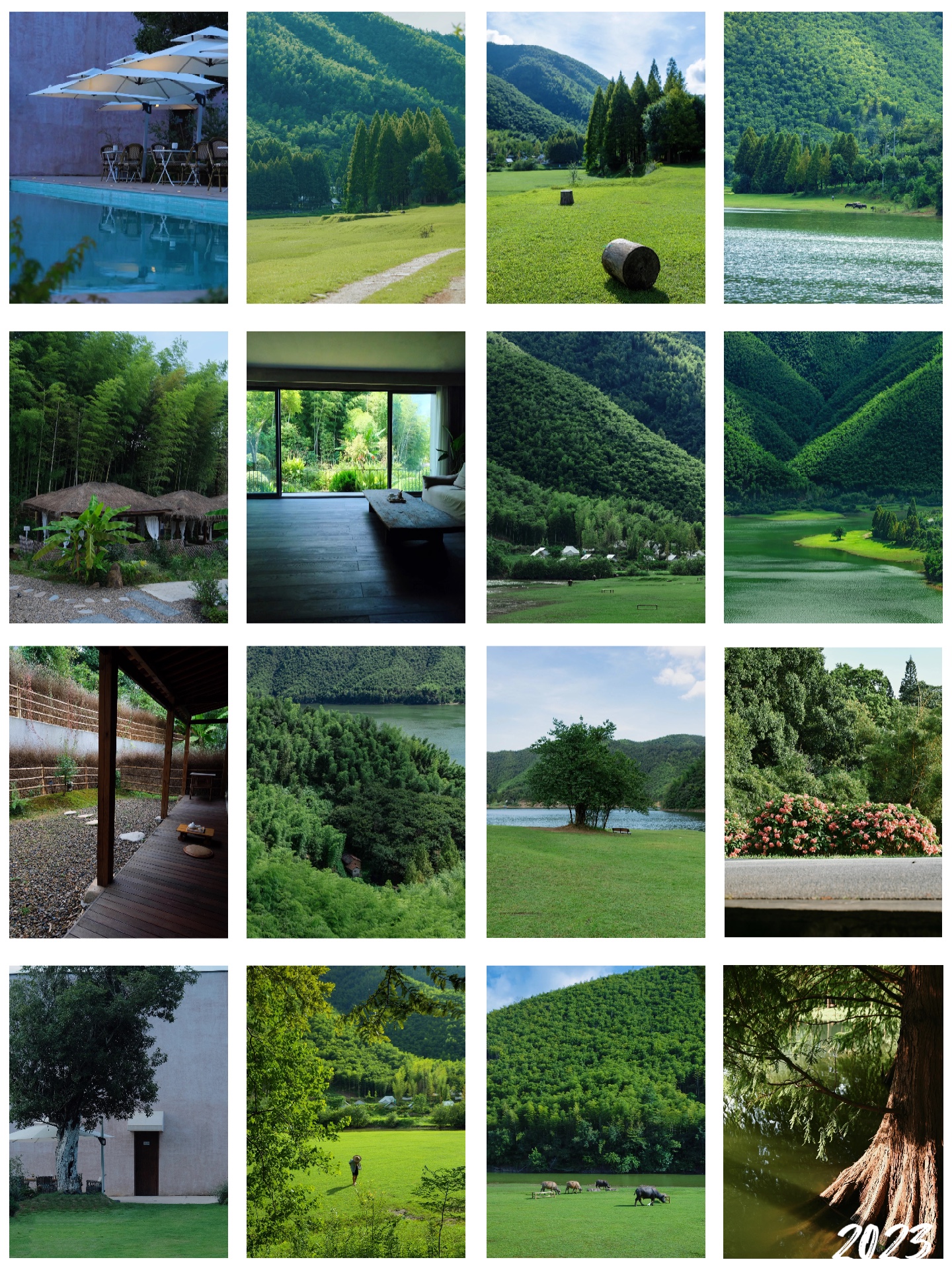 49pics