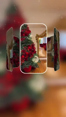 CHRISTMAS HOUSE 