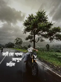 মন নিলো তার বাশি গানে