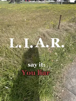Liar AND a user