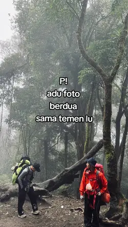 tren adu foto berdua