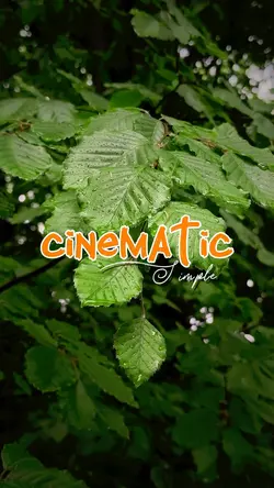 9 video cinematic