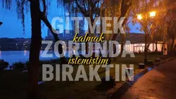 Kalmak istemiştim
