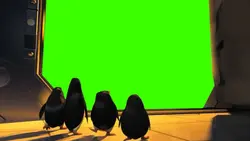 tiktok this weekend