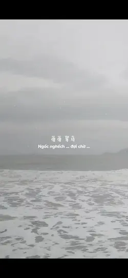 心太转 quá để tâm