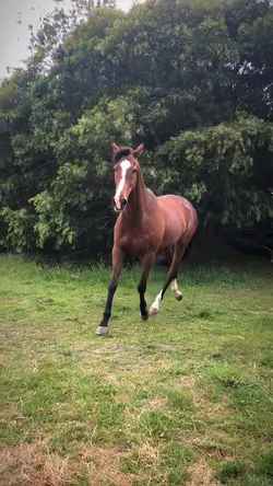 🌊 Ocean eyes 🌊