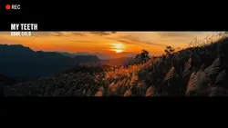 Dido-Tkank You.|