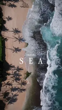 vitamin sea