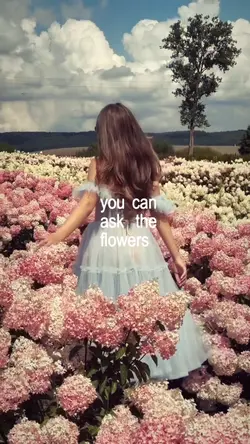 slowmo pretty little