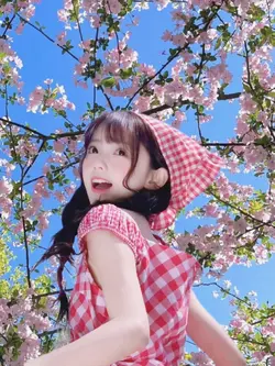 SAKURA 벚꽃 anh đào