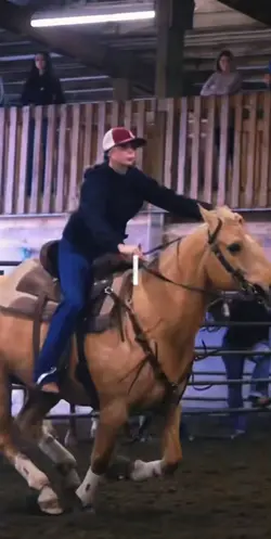 Horse 