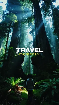 travel Moments 