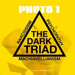 Dark triad edit