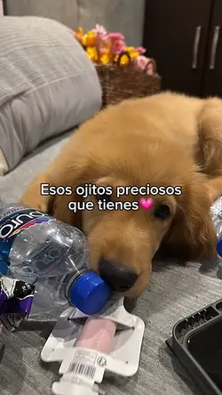 Esos ojitos 