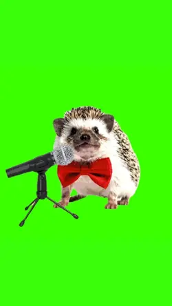 Hedgehog Singing