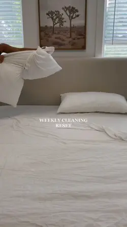CLEANING VLOG