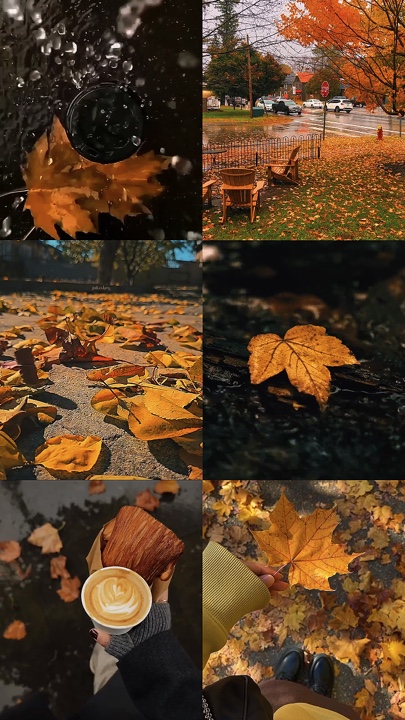Hello autumn