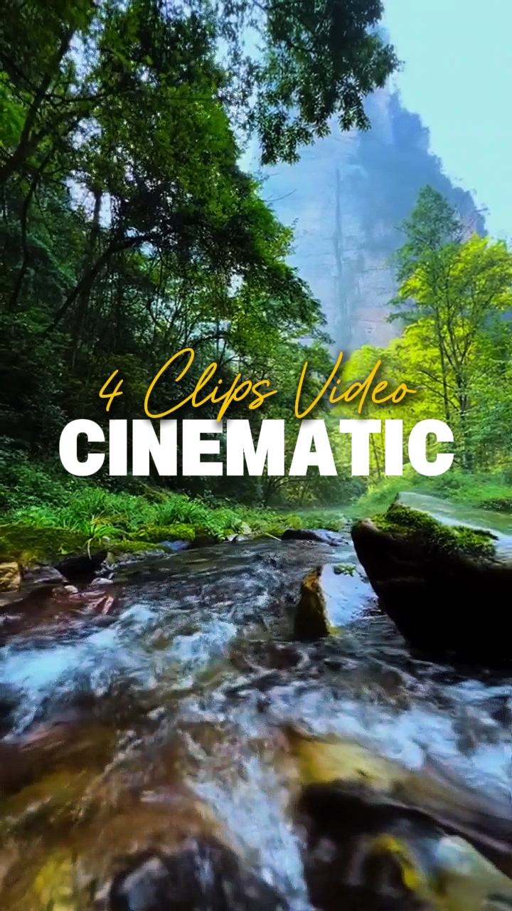4 Clips Video