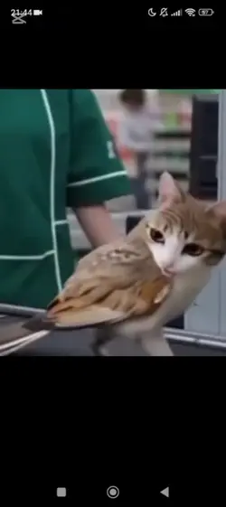to na zadanie