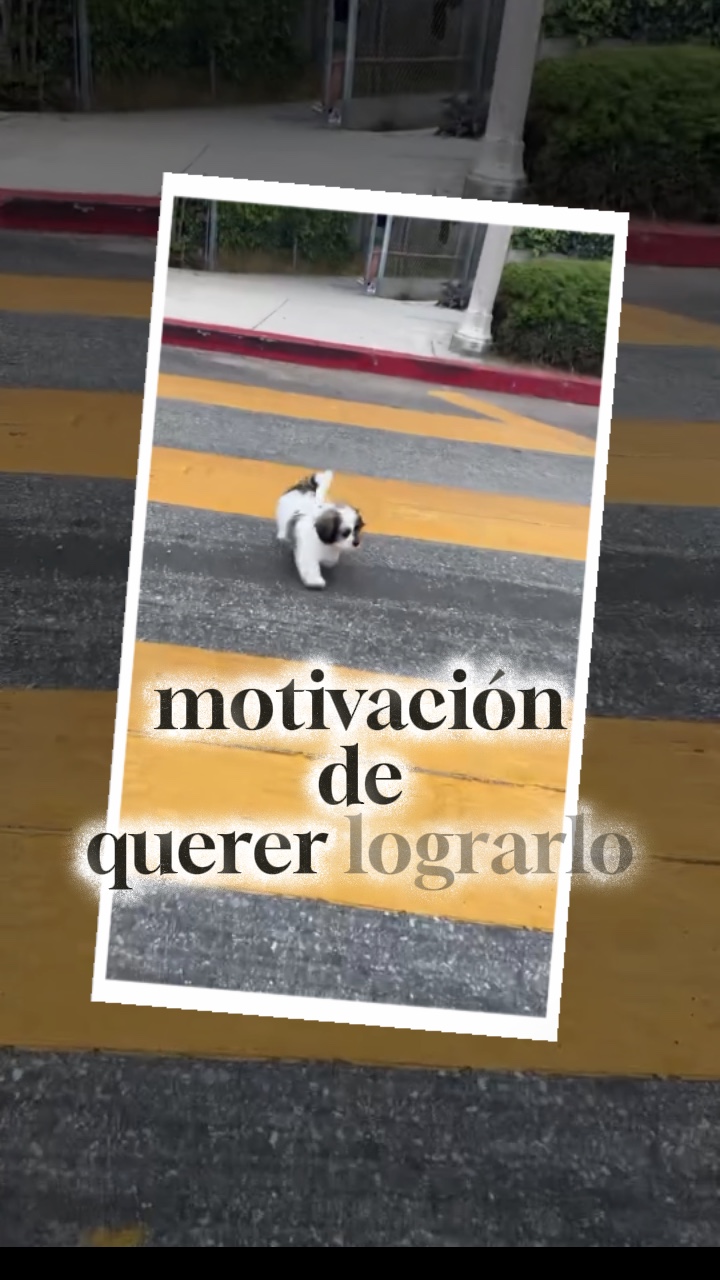 Motivación 