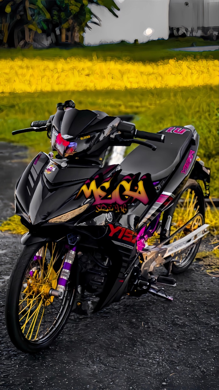 Cover Picture
