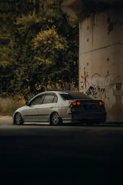 Sürüngenler Nerde ?