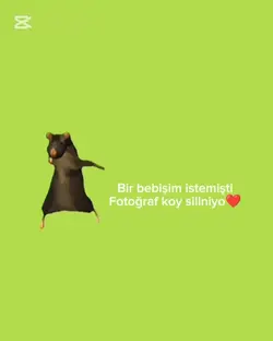 Yeşil ekranlısı