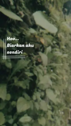 biarkan aku sendiri