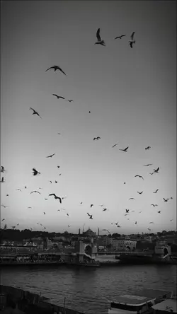 dermanım sahibi 
