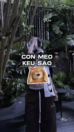 CON MÈO KÊU SAO