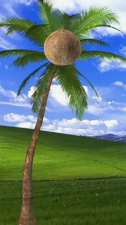 FUNNY HAPPY BIRTHDAY