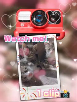 Watch me!/1clip
