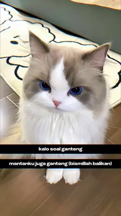 kalo soal ganteng