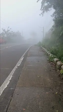 FOGGY MORNING 